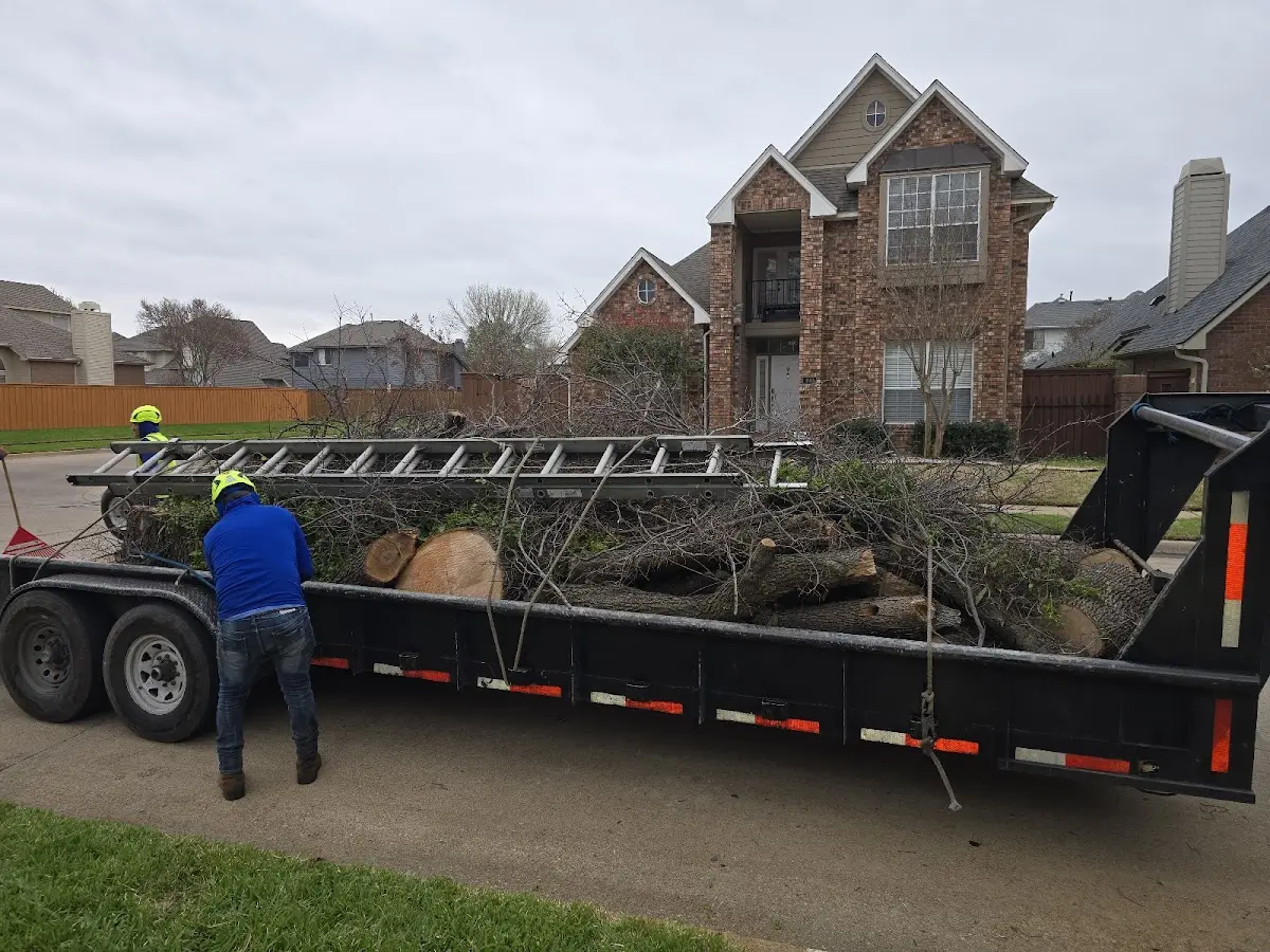 Expert Tree Fertilization with proper safety equipment in Holmen